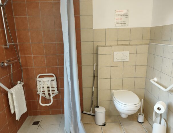 Toilettes et WC de la salle de bain du rez-de-chaussée, barres d'appui pour personnes à mobilité réduite fixées au mur.